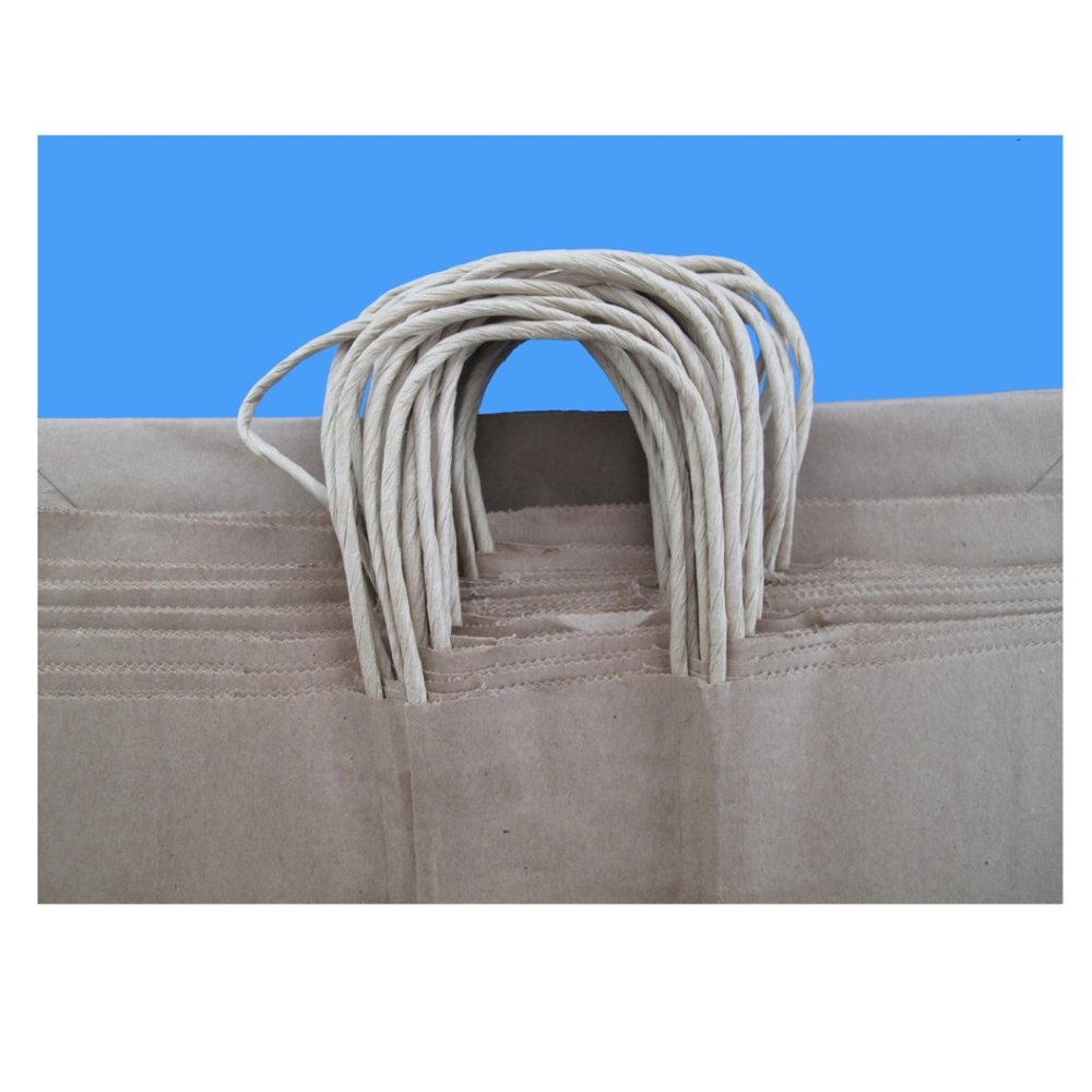 Natural Kraft Paper Bags | with Handles | Quantity 21 bags | Multipurpose shop